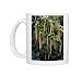 Photo Mugs of DAD-1811 Holly Leaf Sweetspire - an evergreen bushy shrub. The long catkin-like from Ardea Wildlife Pets
