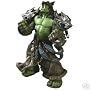 World of Warcraft Rehgar Earthfury Orc Shaman Action Figure