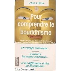 Pour comprendre le bouddhisme : Une initiation � travers les textes essentiels (Presses pocket)