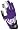Purple/White