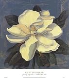 Glowing Magnolia Art Print Poster By Curtis Parker, 12 
