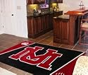 Montana Grizzlies 4'X6' Area Rug