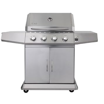 barbecue gaz kingstone