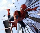 TOBEY MAGUIRE (Spider Man) 8x10 Male Celebrity Photo Signed In-Person