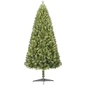 6' COLORADO PINE, CLEAR