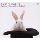 Follow The White Rabbit