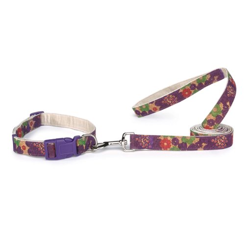4ft Natural Cork Dog Leash with Bamboo Lining