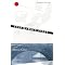 Upcoming Asian Books