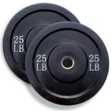 Wright 25 Lb Solid Rubber Bumper Weights