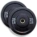 Wright 25 Lb Solid Rubber Bumper Weights