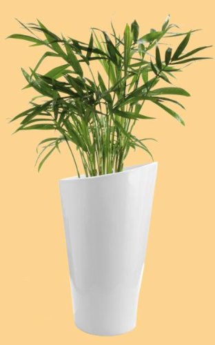Blumenkübel Pflanzkübel Pflanzgefäße
