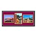 Arizona State University Logo Wall Hanging