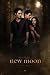Twilight Poster - New Moon One Sheet Maxi