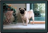 Pet Mat - 18.0 x 27.0 - Chinese Pug.