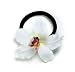 Karin's Garden - Petite Vanda Orchid Pony: Click to See Other Colors