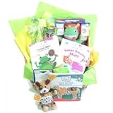 New Baby Einstein Gift Basket