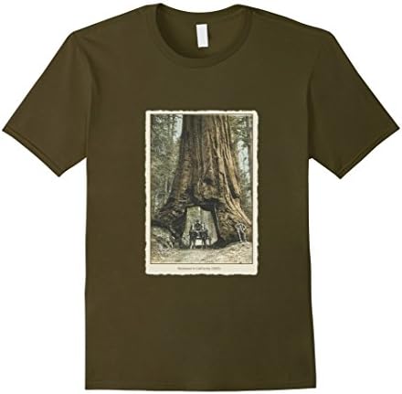 Men's Vintage Redwood Trees Postcard T Shirt, California Redwoods Large Olive