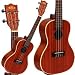 Kala KA-C Mahogany Concert Ukulele Kala KA-C Mahogany Concert Ukulele