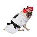 Pet Karate Costume - White
