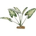 PETCO Silk Syngonium Butterfly Foreground Aquarium Plant
