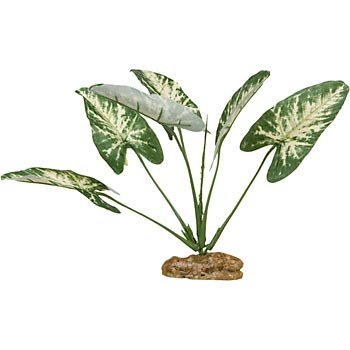 PETCO Silk Syngonium Butterfly Foreground Aquarium Plant