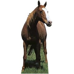 Mustang Horse - Wildlife/Animal Lifesize Cardboard Cutout / Standee / Standup