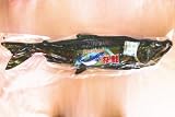 北海道噴火湾産燻製(さくらチップ)桜鮭 姿 2-3kg 【限定】7月1-31日限定20本