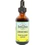 Kidney Bladder Tincture 2 fl. oz.