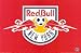 Mls Soccer New York Ny Red Bulls Poster Football 24558G Poster Print, 36x24