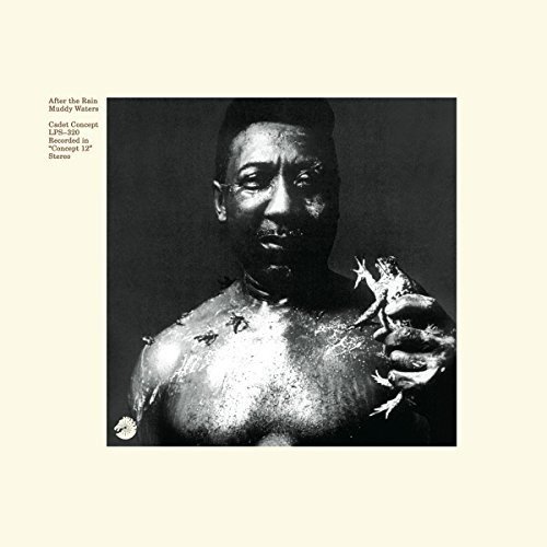 Album Art for After the Rain by Muddy Waters
