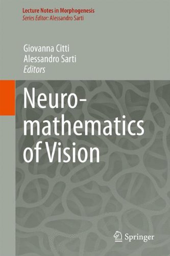 Neuromathematics of Vision (Lecture Notes in Morphogenesis)