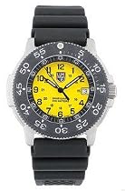 Luminox 3105 (Unisex Watch) : Multi-Jewel Swiss Quartz Movement
