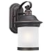 Sea Gull Lighting 89181BL-71 Single-Light Hermitage Fluorescent Wall Lantern with Frosted Glass and Banding, Antique Bronze