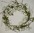 25" Queen Anne Lace Wreath