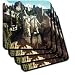 Sandy Mertens Colorado - Wheeler Geologic Area Mineral County in Canvas - Coasters