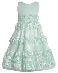 Girls Round Neck Mesh   Knee Length Sleeveless Polyester/Satin  Dress With a Bow(s) and a Sash  and Ruffles
