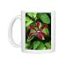 Photo Mugs of DAD-1788 Gravetye Beauty - This clematis flowers from mid summer to from Ardea Wildlife Pets