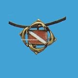 Antique Brass Dolphins Around Dive Flag Pendant