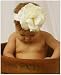 Z: Cream Rose Headband Baby (0m-12m)