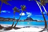 Palm Trees, Bora Bora Art Print Poster by Beverly Factor