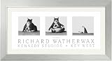 Fat Cat Capsizing Framed Art Print by Richard Watherwax,31.5 in. x 17.5 in. Framed
