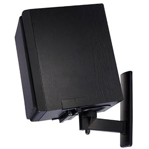 Pinpoint Universtal Bookshelf Speaker Wal