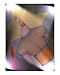 Head Shrinker Emerging Artists Giclee Poster Print by Caleb Palmer, 16x20