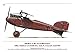 Albatros Fighter Aircraft of WWI (Spotlight ON)