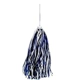 Richmond Riverdogs Hockey Hand Held Rooter Pom Pom