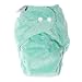 Itti Bitti Bitti Tutto One-size Cloth Diaper, Peppermint