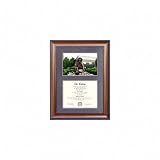 UNC-Charlotte 49ers Suede Mat Diploma Frame with Lithograph