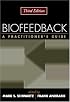 Biofeedback, Third Edition: A Practitioner's Guide