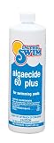 In The Swim Pool Algaecide 60 Plus 1 qt.
