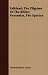 Falkland; The Pilgrims Of The Rhine; Pausanias, The Spartan